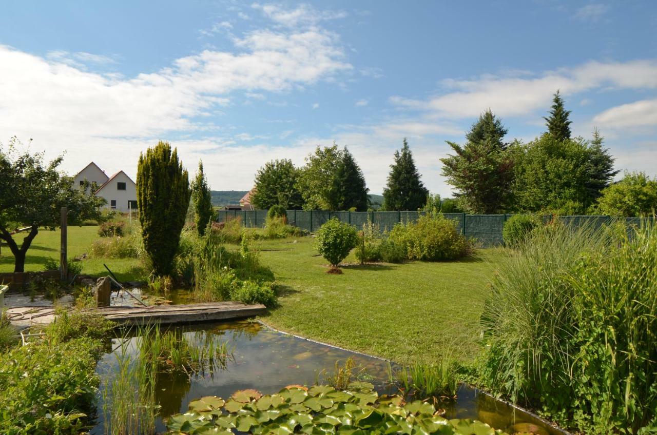Gite Cigogne Odratzheim ภายนอก รูปภาพ
